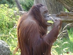 Tiergarten Schönbrunn am 23.03.2023